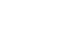 Logo_sdt_blanco